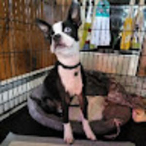 Meet your Posher, Christina